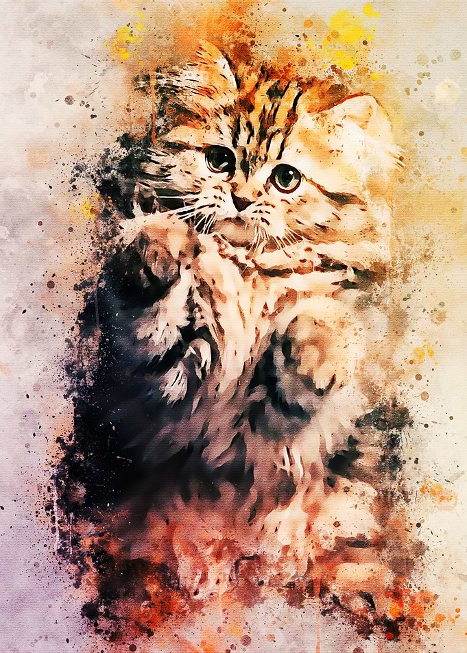 Cute Cat Splatter