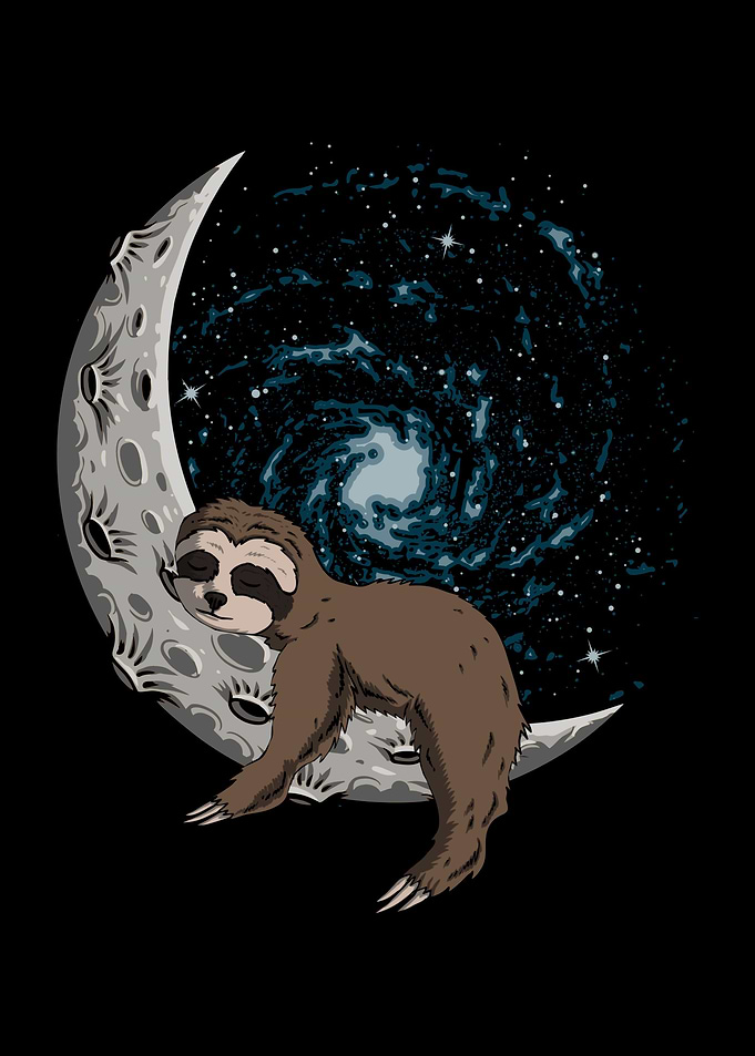 Sleeping Sloth Dreaming