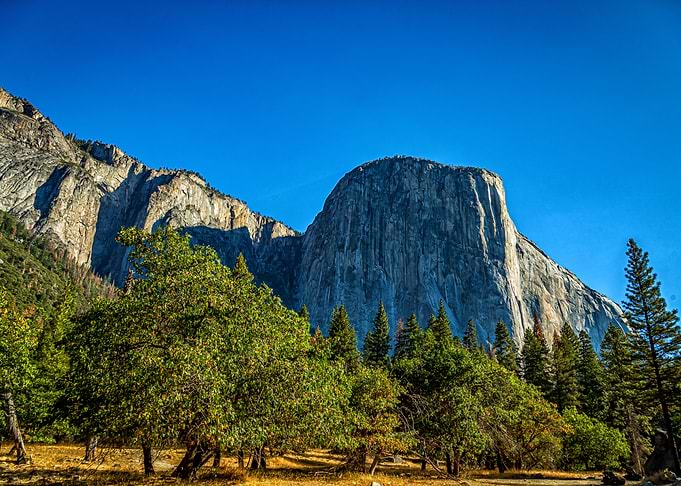 El Capitan from Cooks Park
