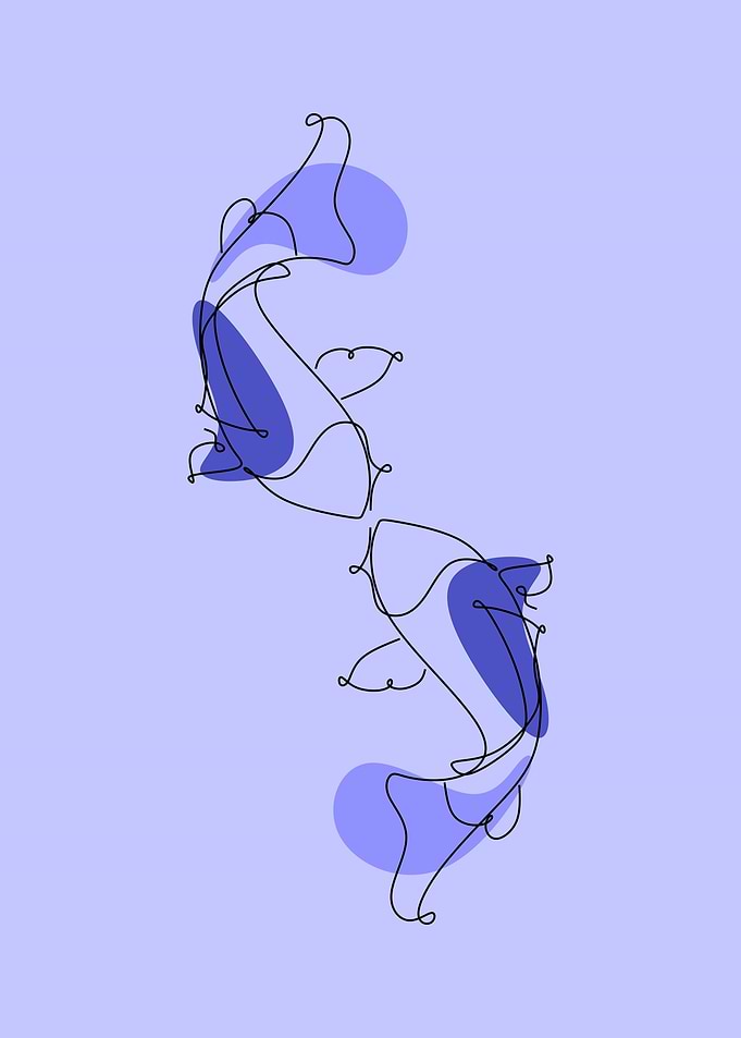 Koi