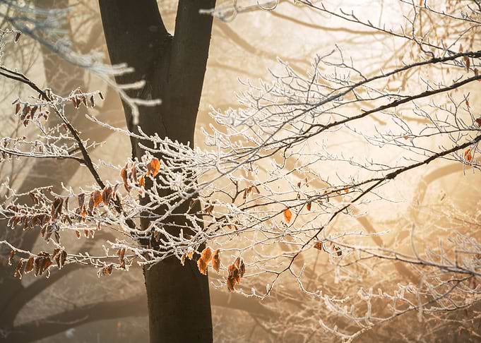 The Remains of Icicles