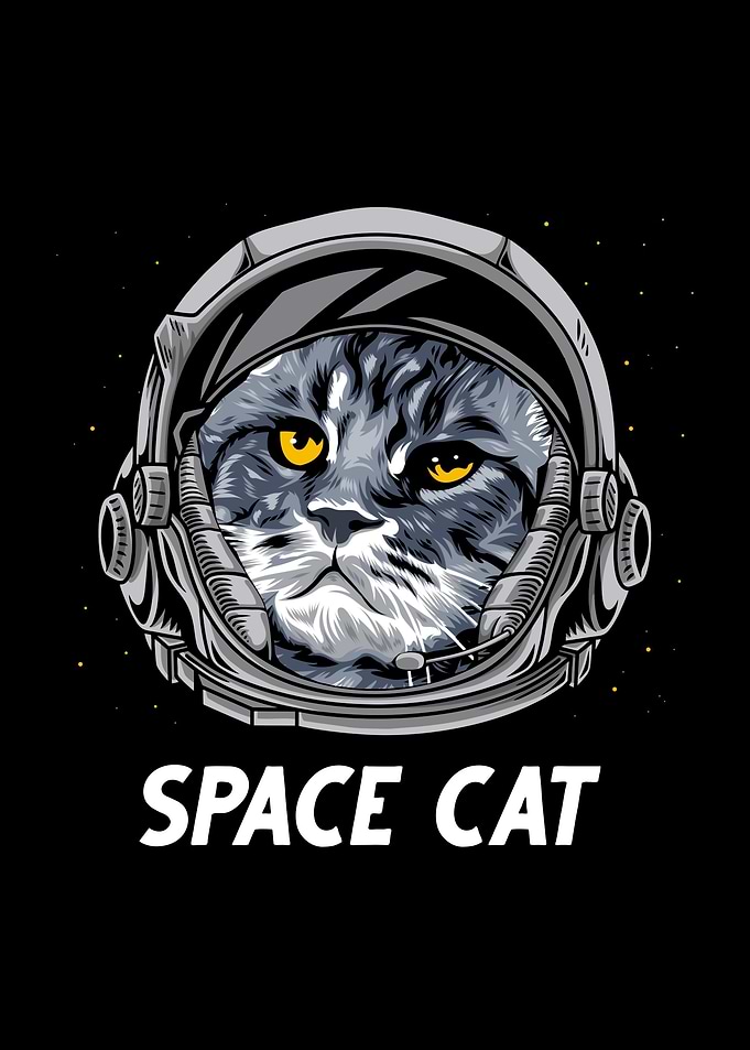 Cat Astronaut