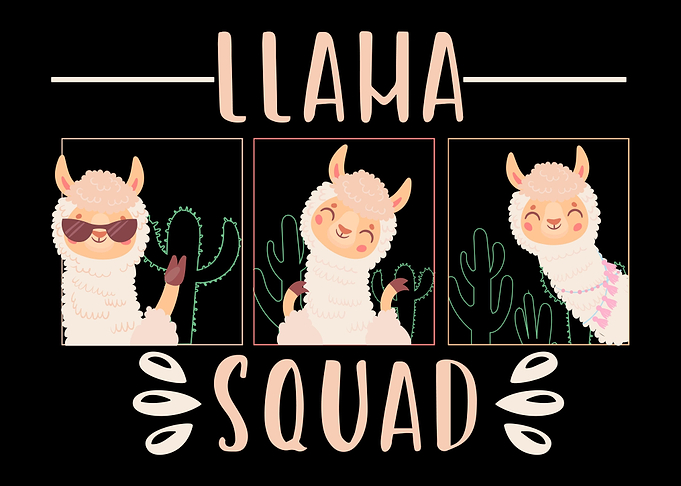 Llama Birthday Party