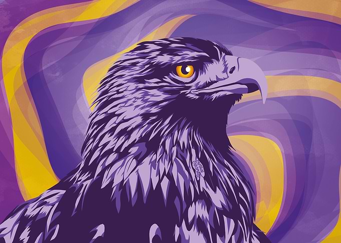 Golden eagle bird portrait