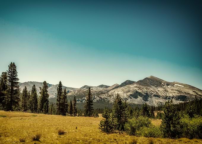 Mammoth Peak Yosemite Park
