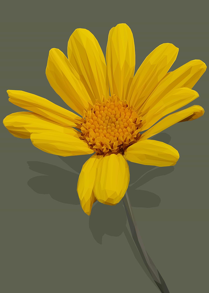Low Poly Golden Bush Daisy