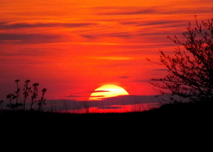 Sunset Glory