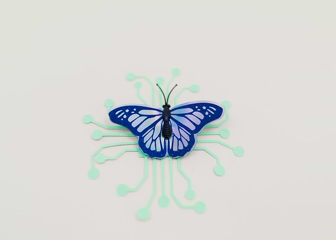 butterfly
