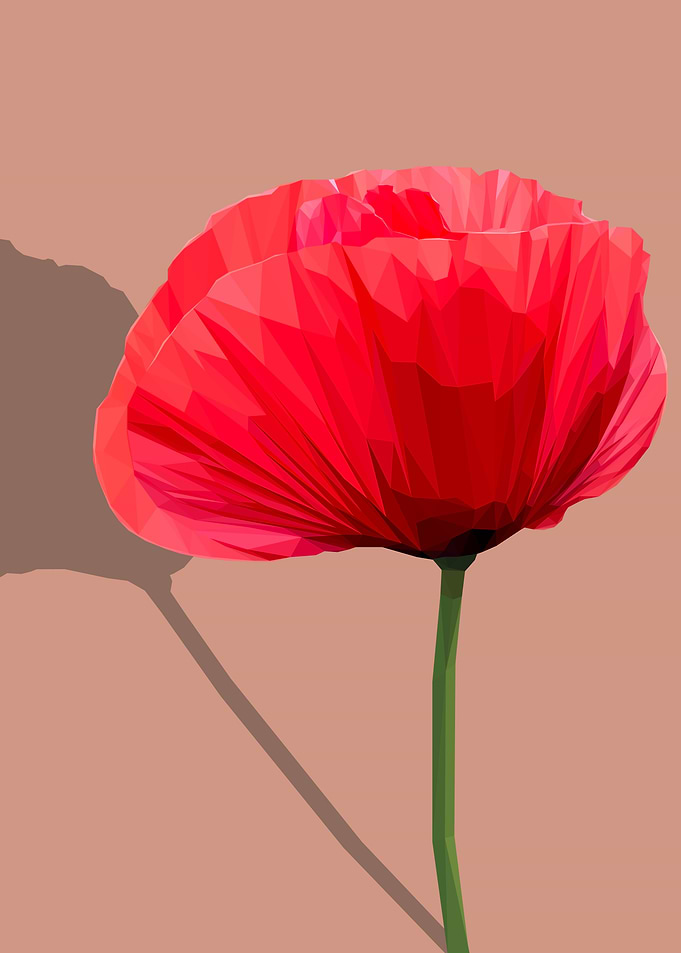 Low Poly Red Poppy