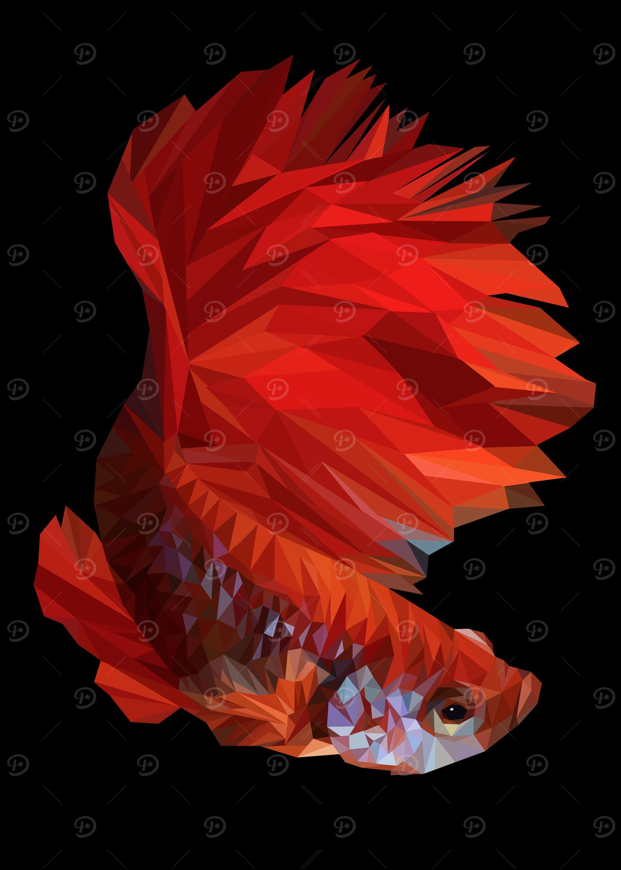 Betta fish
