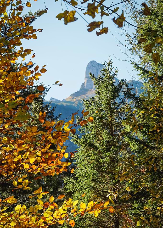 Staubern in Autum