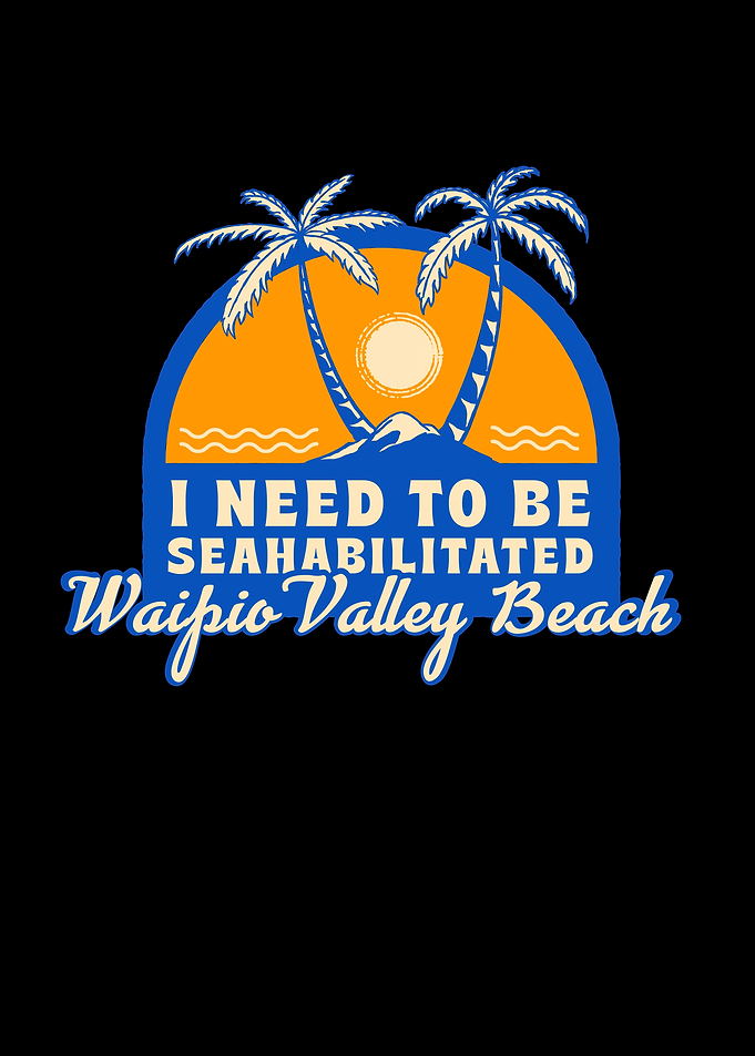 Waipio Valley Beach Summer
