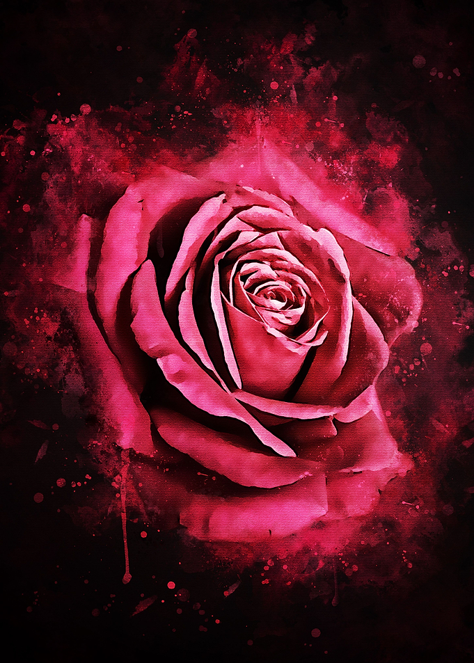 Red Flowers