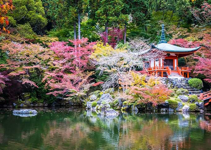Nature Japan Landscape