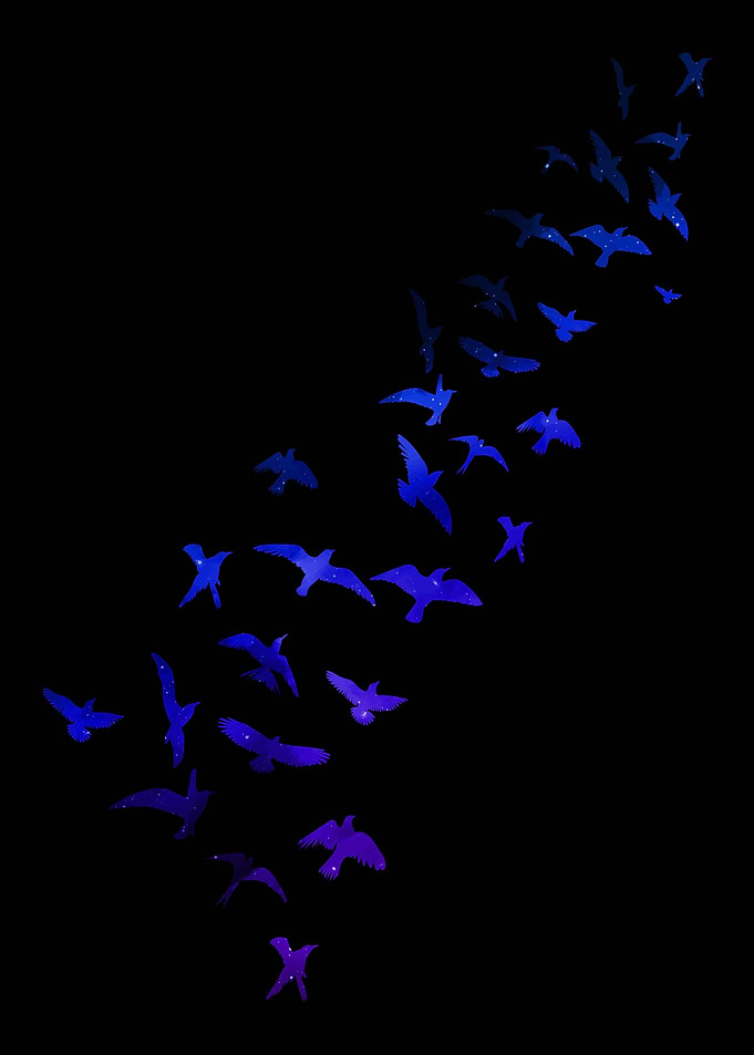 Beautiful flock of birds
