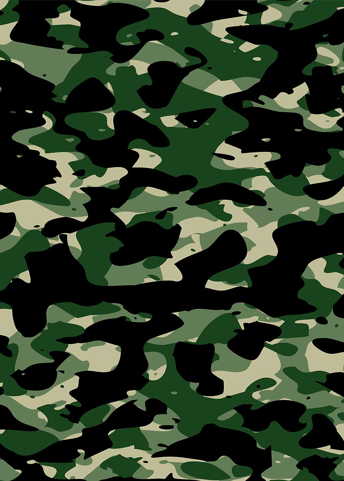 Military camouflage army