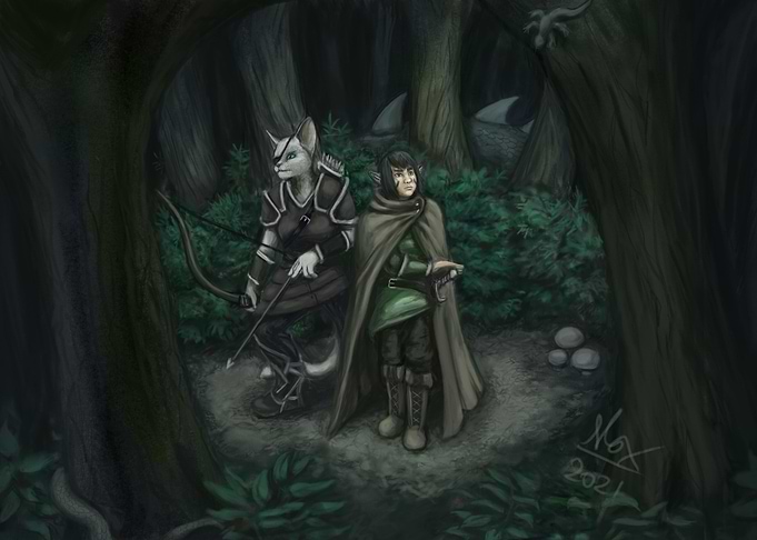 In the dark forest
