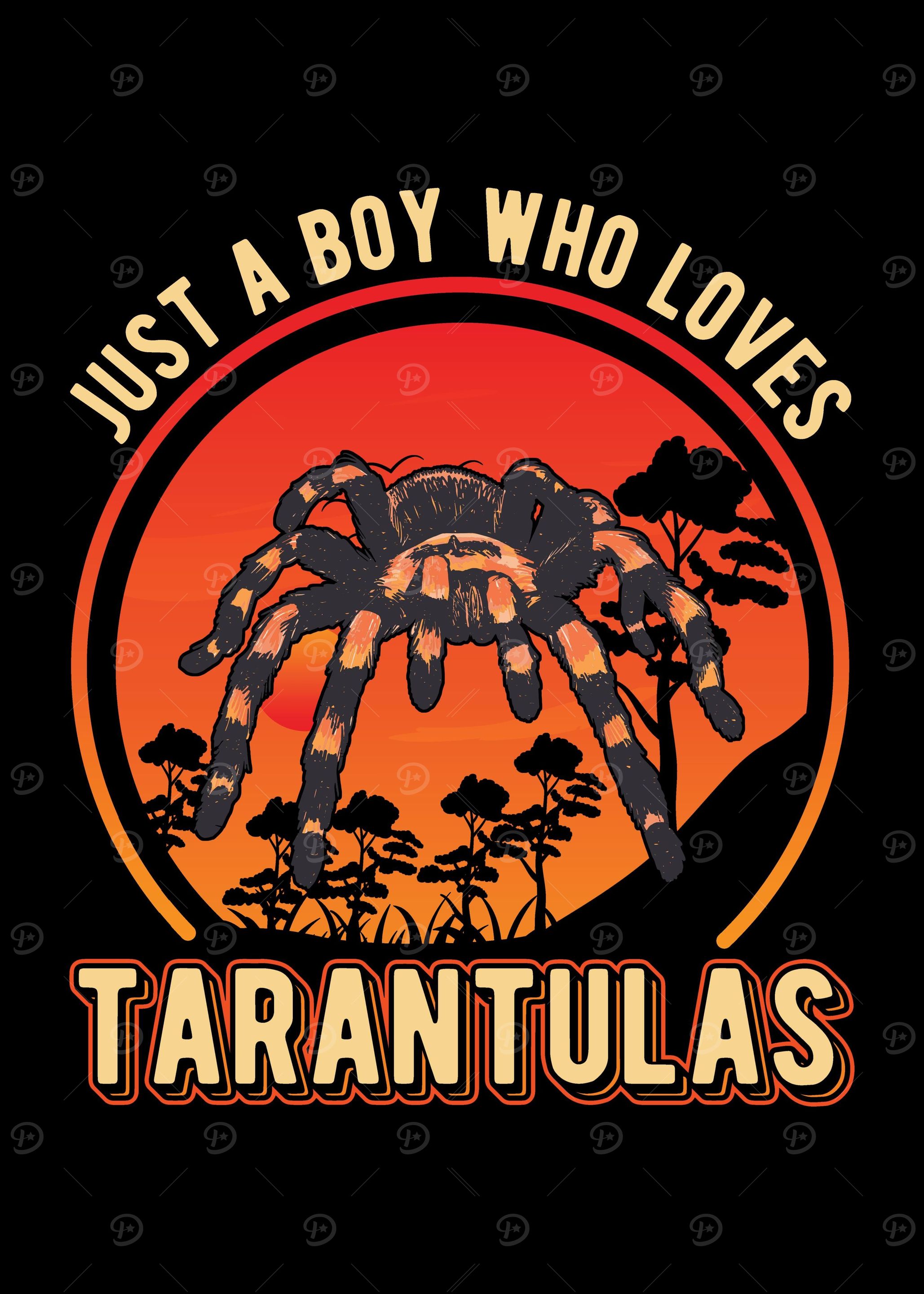 Tarantula Gift