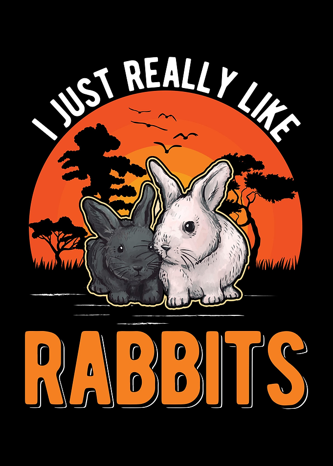 Rabbit Stable Bunny