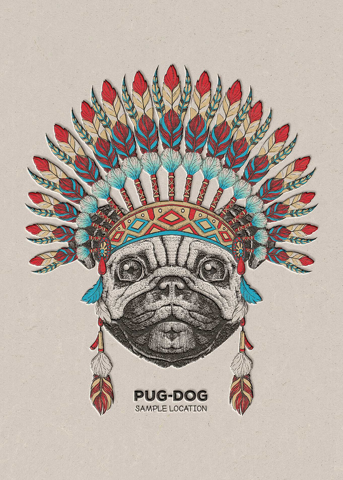 Pug Dog