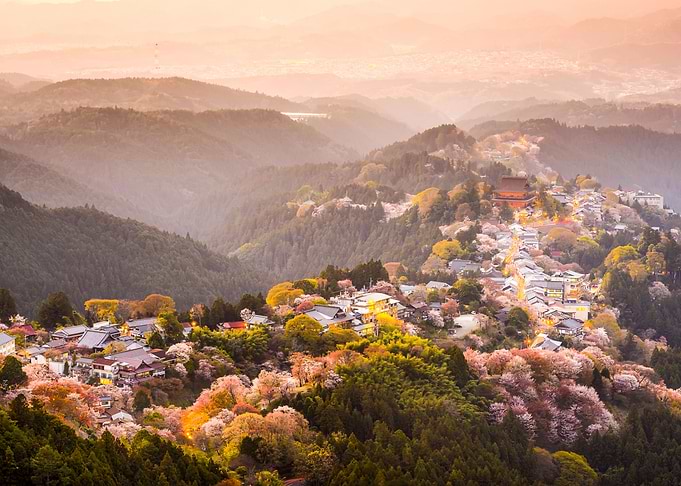 Nature Japan Landscape
