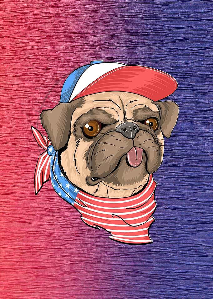 American Dog