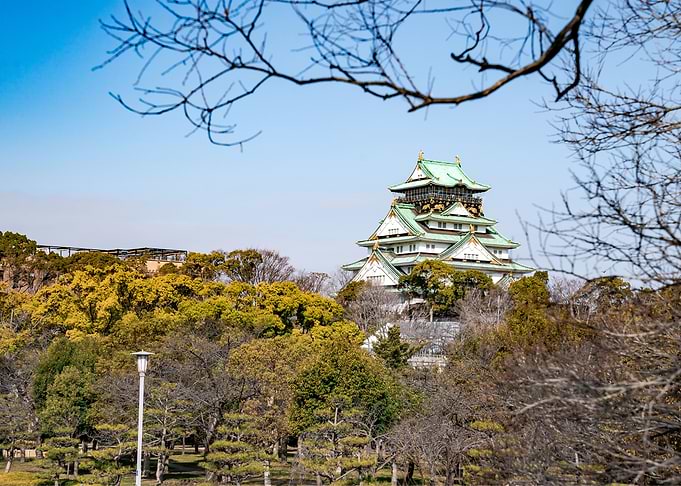 Nature Japan Landscape