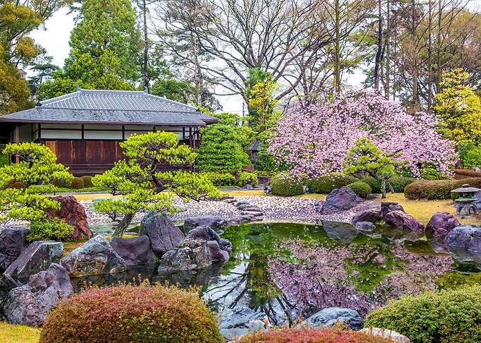 Nature Japan Landscape