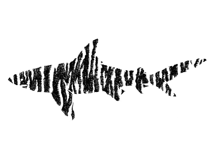 Tiger Shark