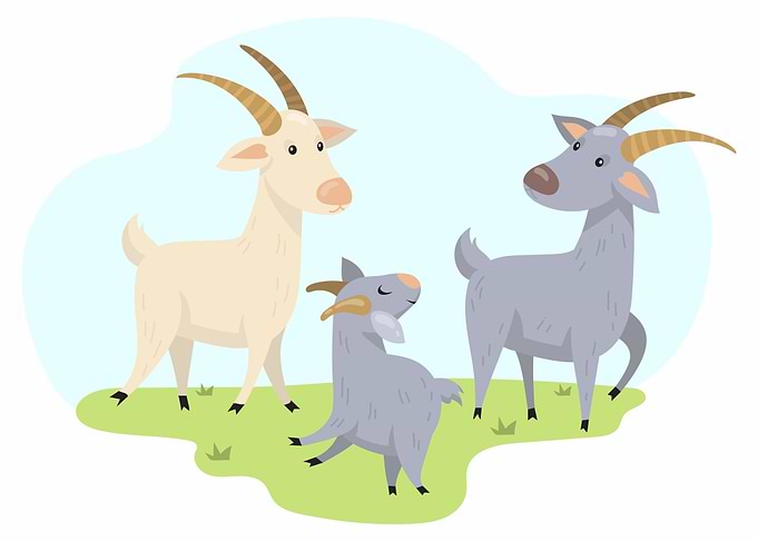 animals