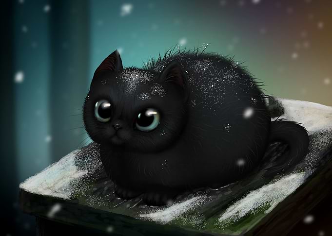 Freezing Kitten