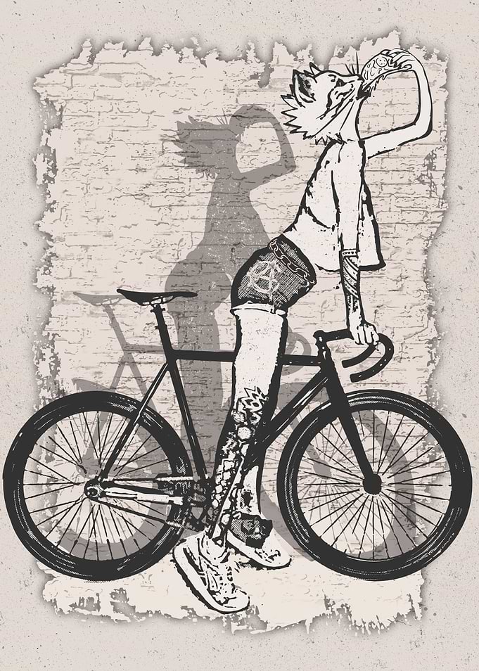 Anime Bike Punk Girls