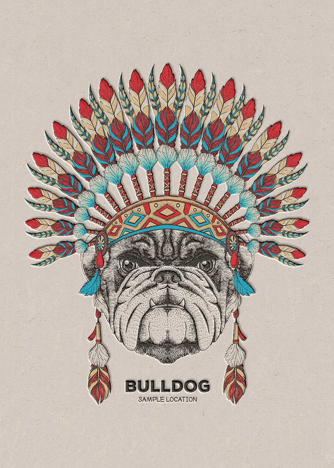 Bull Dog