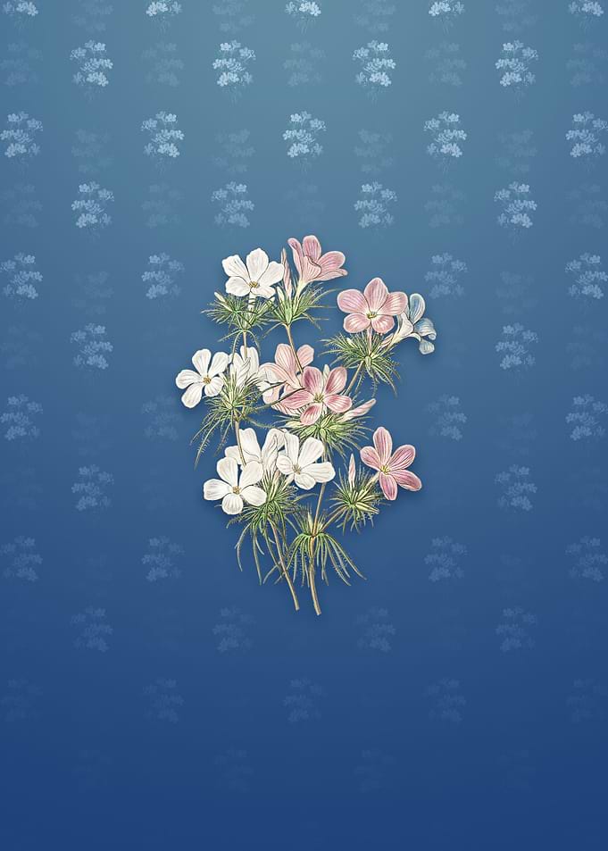 Thick Flower Slender Tube