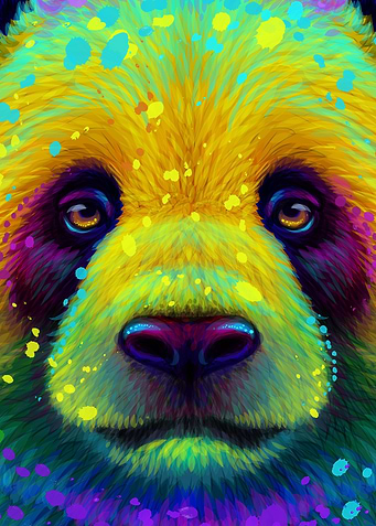 Colorful Panda