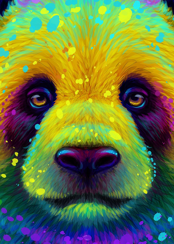 Colorful Panda