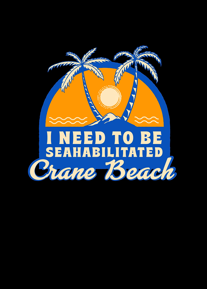 Crane Beach Summer Funny
