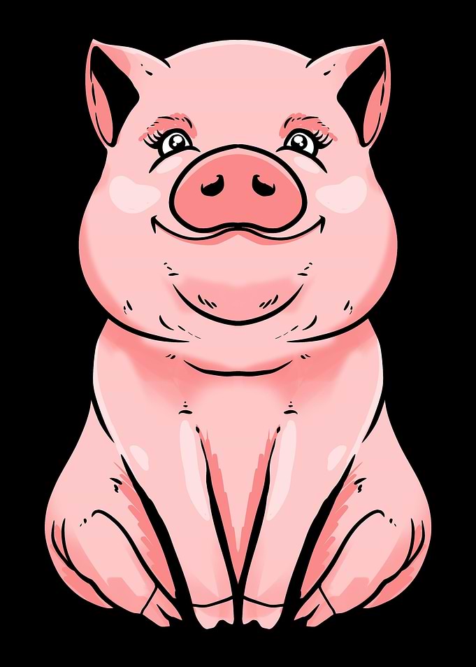 Pig Farm Farmer