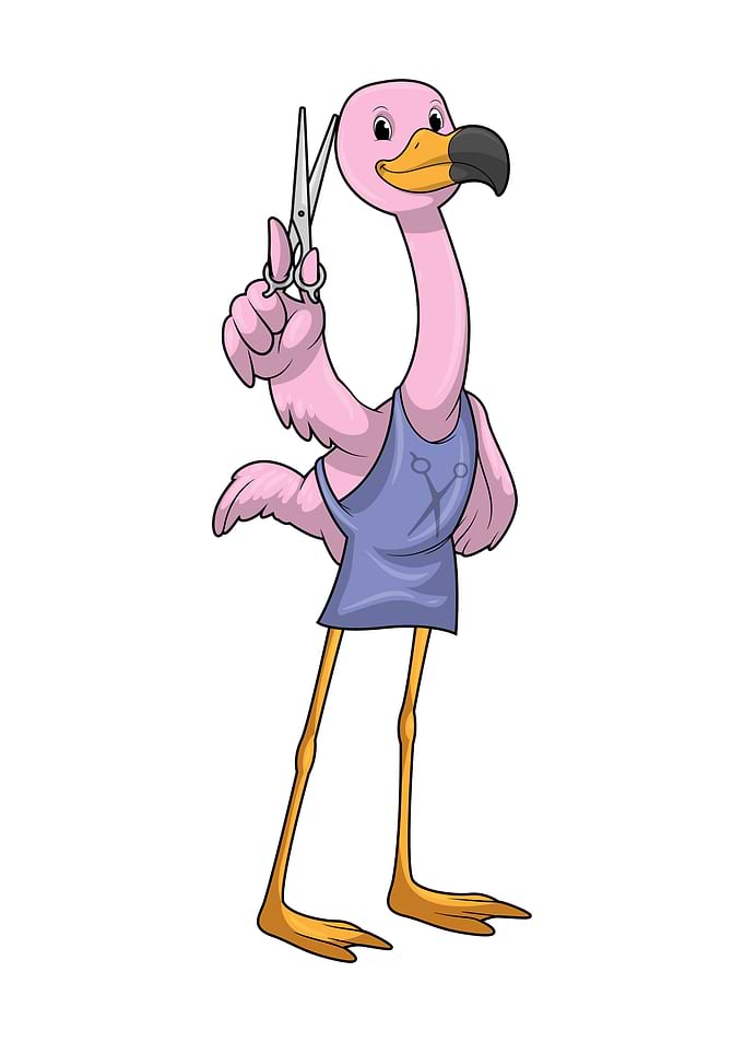 Flamingo Hair stylist