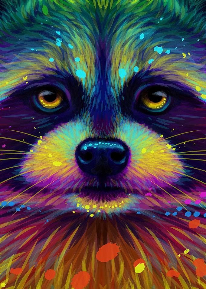 Colorful Raccoon