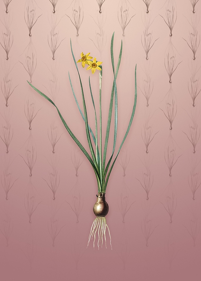 Vintage Rush Leaf Jonquil
