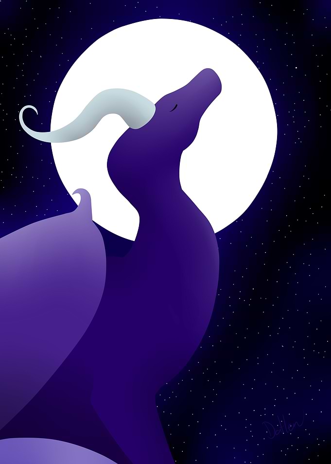 Stargazing