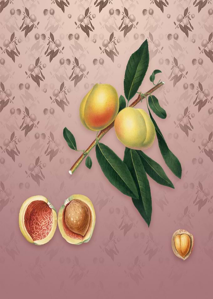Peach on Dusty Pink
