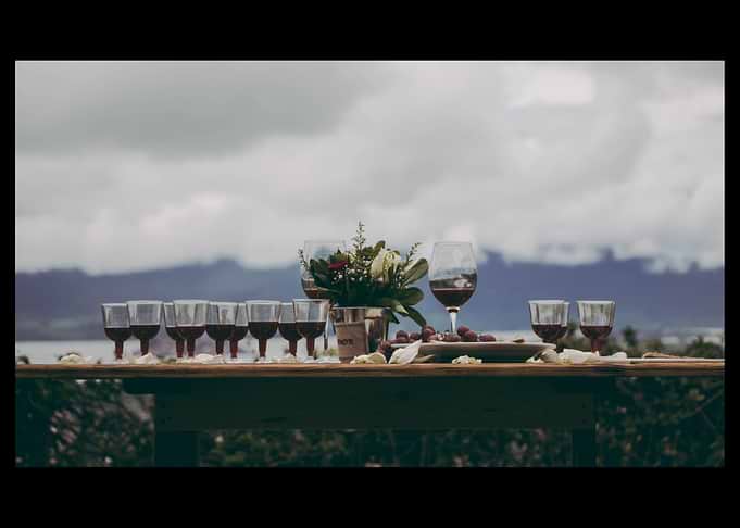 Wine Alcohol