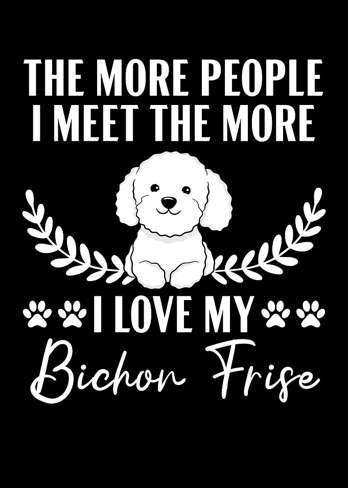 Bichon Frise