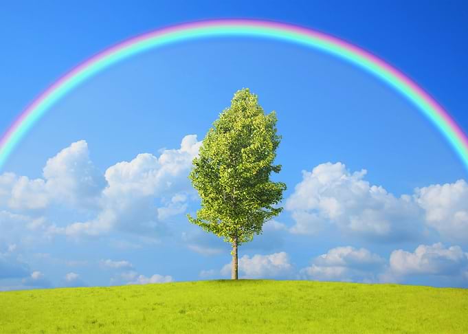 Rainbow Nature Landscape
