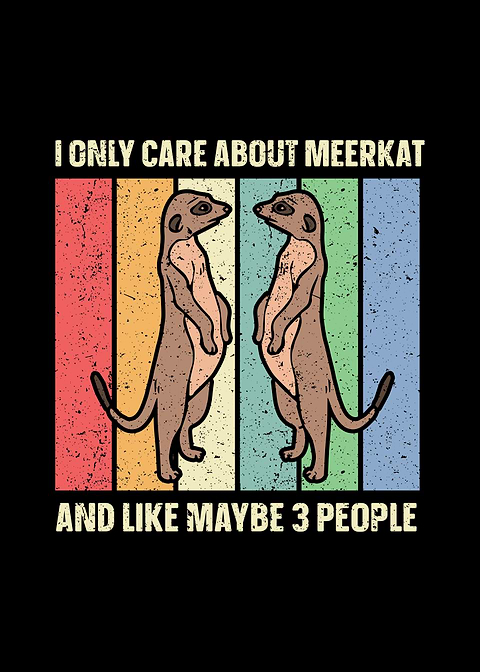 Meerkat