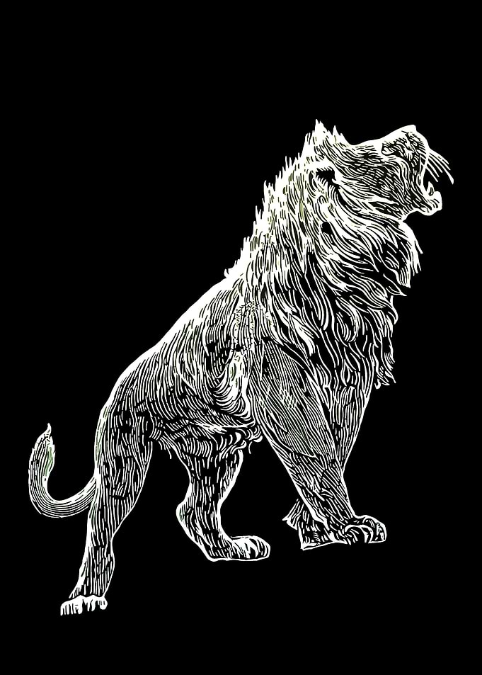 Minimalist Lion