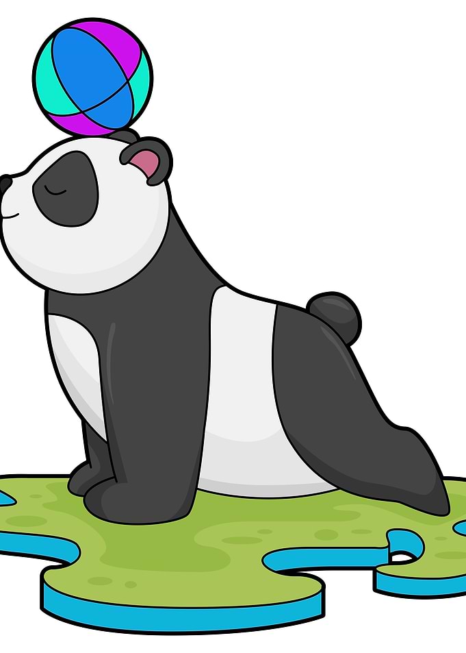 Panda Volleyball Sports