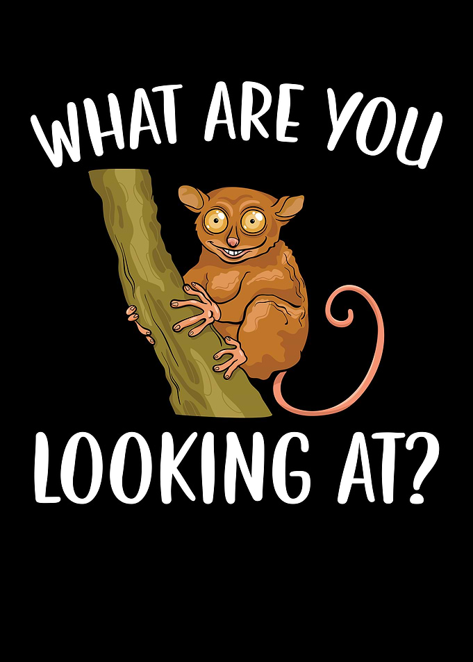 What Are You Looking At